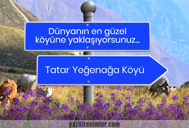 Tatar Yeğenağa Köyü